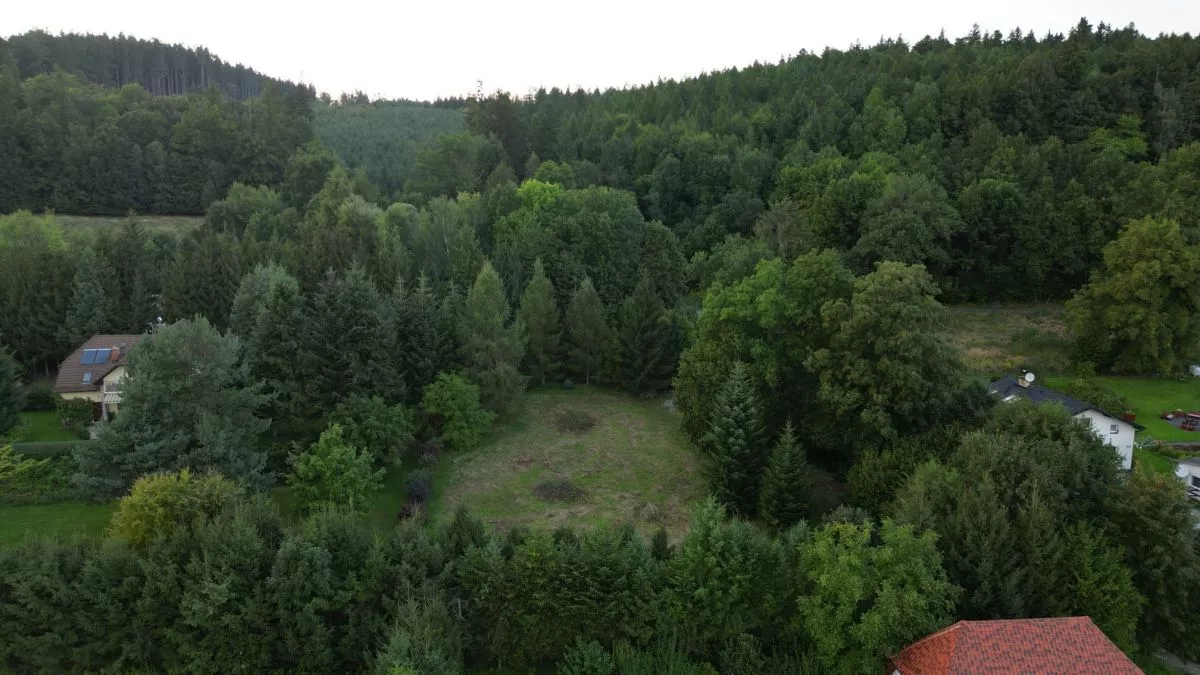 Wojcieszyce Widok na Karkonosze /Trasa Szklarska Poręba sprzedaż 2300m2 - 10
