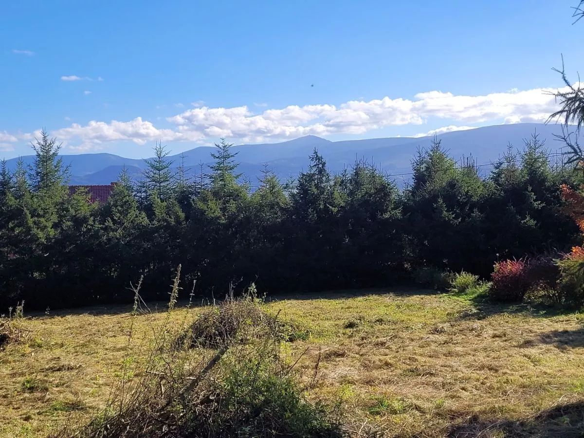Wojcieszyce Widok na Karkonosze /Trasa Szklarska Poręba sprzedaż 2300m2 - 4