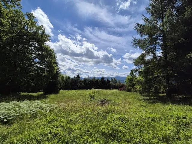 Wojcieszyce Widok na Karkonosze /Trasa Szklarska Poręba sprzedaż 2300m2 - 8