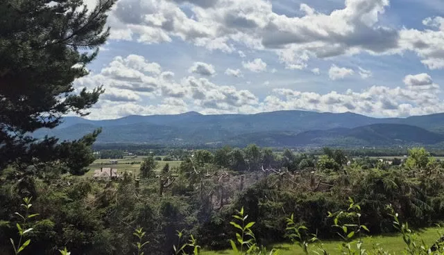 Wojcieszyce Widok na Karkonosze /Trasa Szklarska Poręba sprzedaż 2300m2 - 9