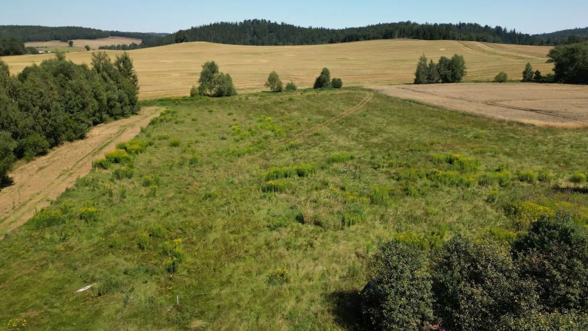 Stara Kamienica Pogórze Izerskie - Działka Siedliskowa+Rola 1,4ha sprzedaż 13937m2 - 4