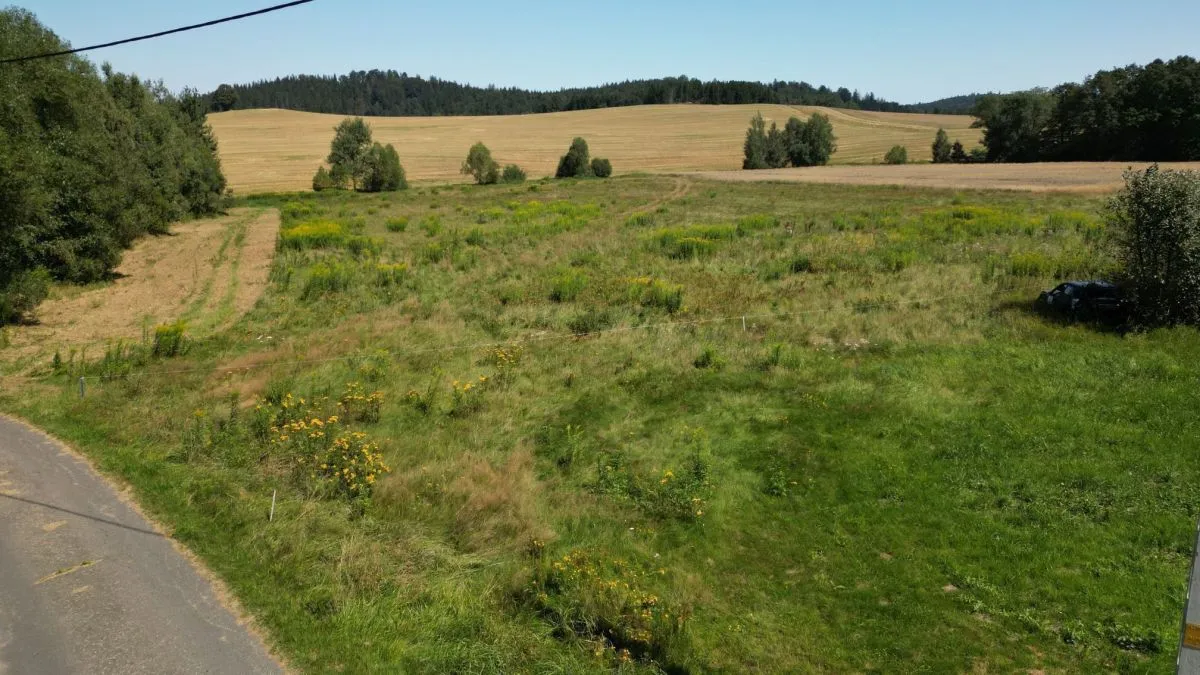 Stara Kamienica Pogórze Izerskie - Działka Siedliskowa+Rola 1,4ha sprzedaż 13937m2 - 7
