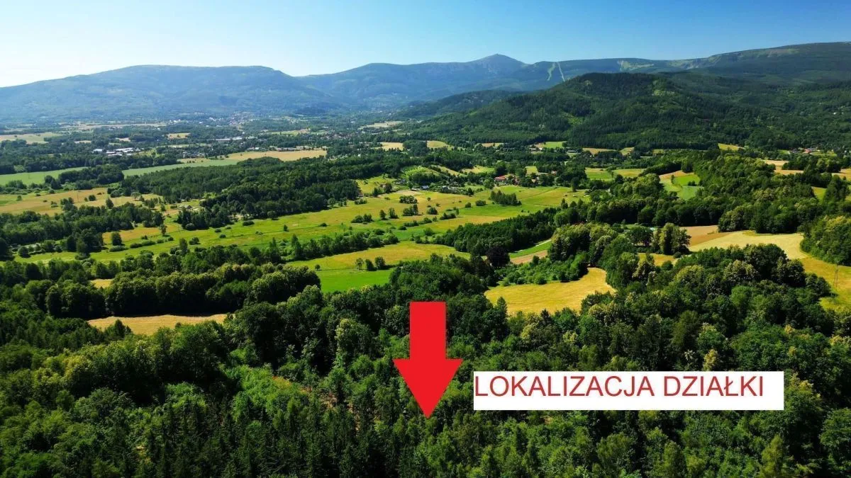 Staniszów Działka budowlana w otoczeniu lasu sprzedaż 3423m2