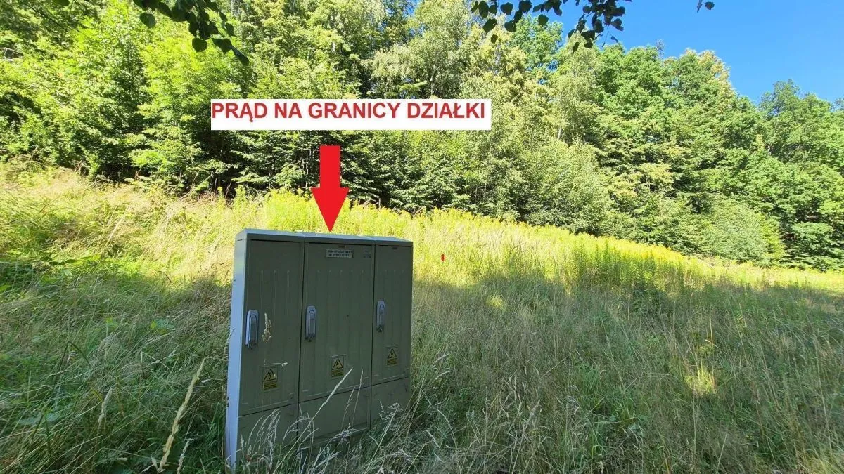 Staniszów Działka budowlana w otoczeniu lasu sprzedaż 3423m2 - 2