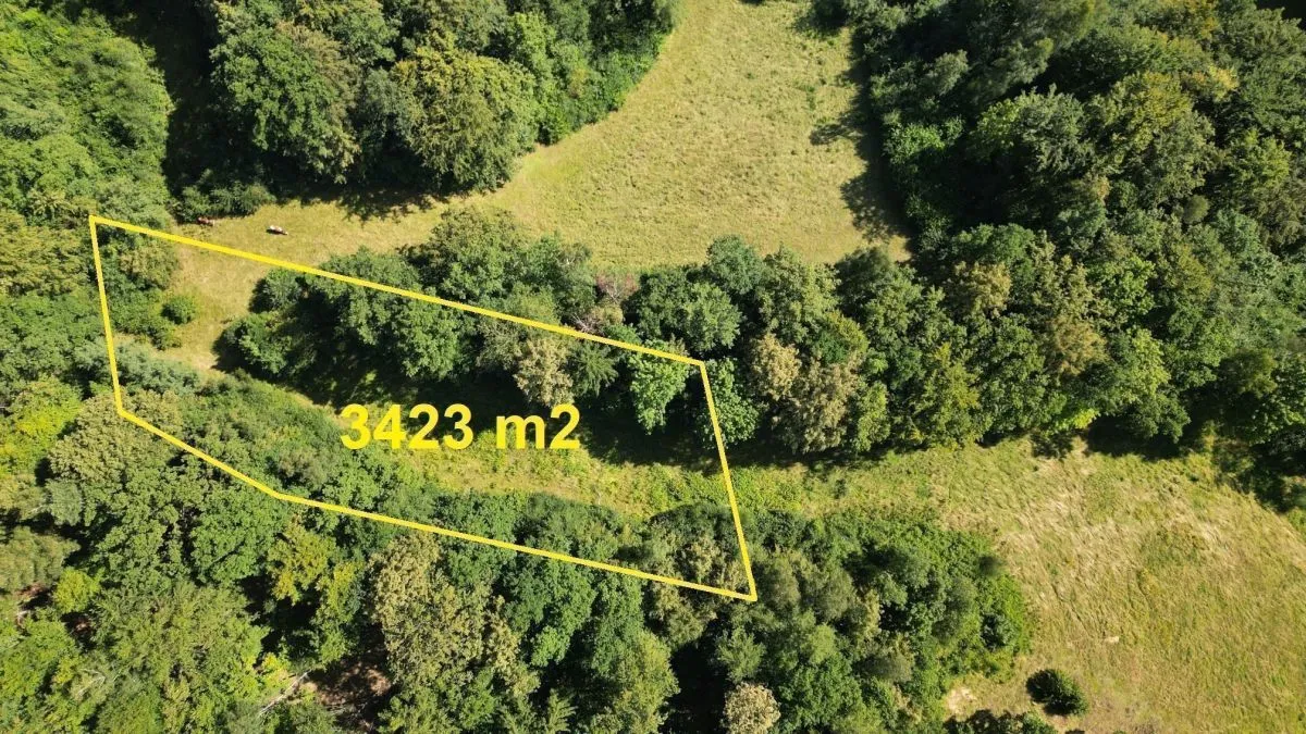 Staniszów Działka budowlana w otoczeniu lasu sprzedaż 3423m2 - 3
