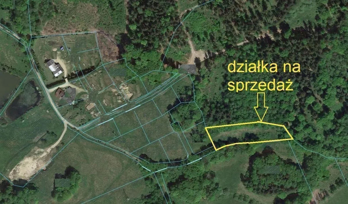 Staniszów Działka budowlana w otoczeniu lasu sprzedaż 3423m2 - 4