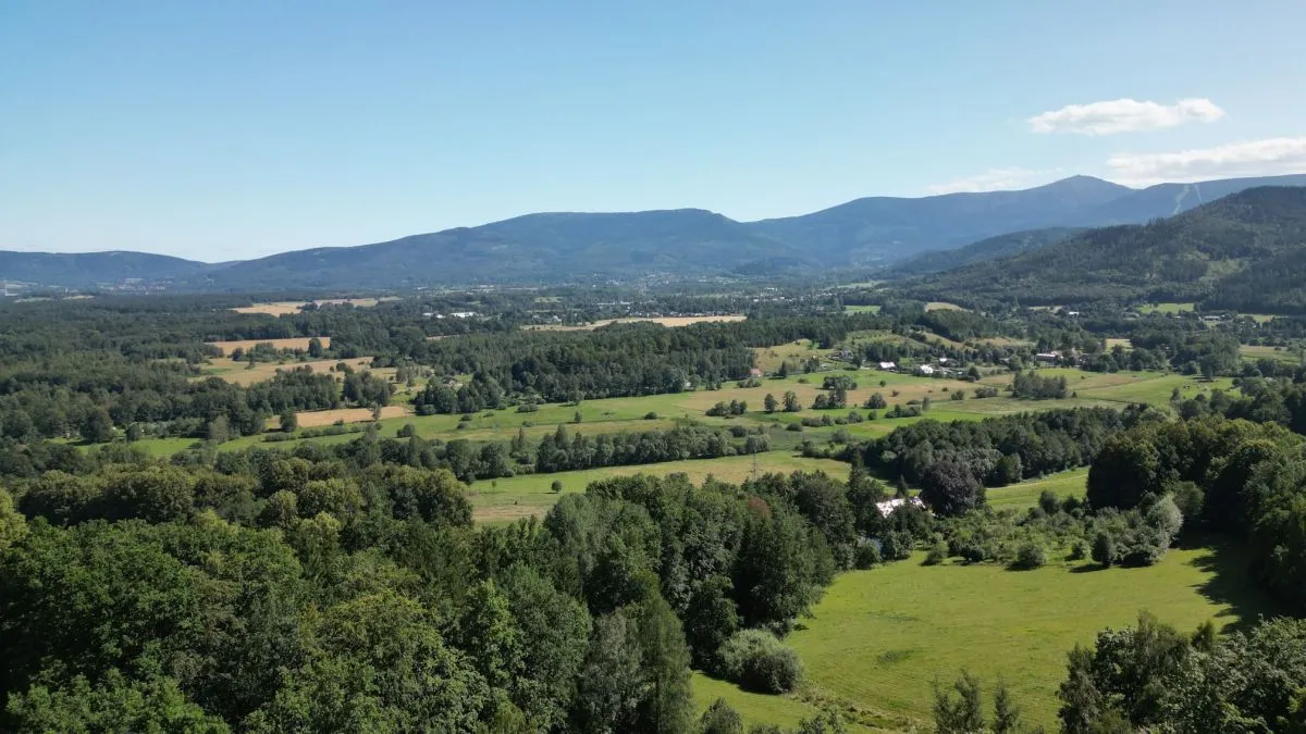 Staniszów Działka budowlana w otoczeniu lasu sprzedaż 3423m2 - 6