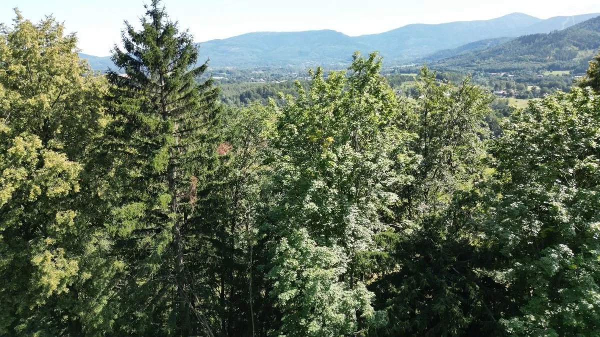 Staniszów Działka budowlana w otoczeniu lasu sprzedaż 3423m2 - 7