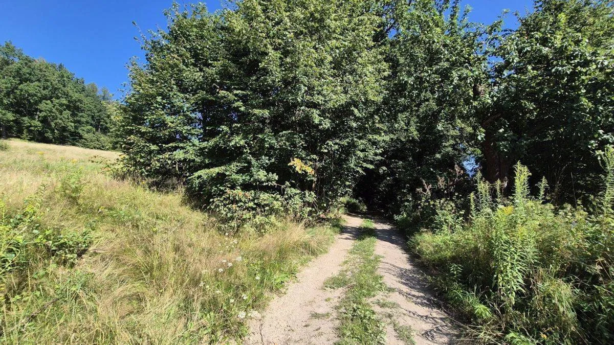 Staniszów Działka budowlana w otoczeniu lasu sprzedaż 3423m2 - 8