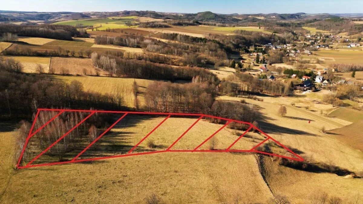 Czernica Czernica sprzedaż 17000m2 - 1