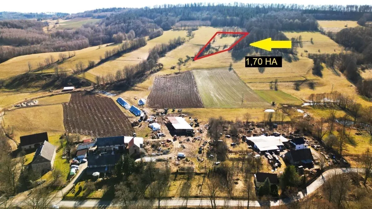 Czernica Czernica sprzedaż 17000m2 - 2
