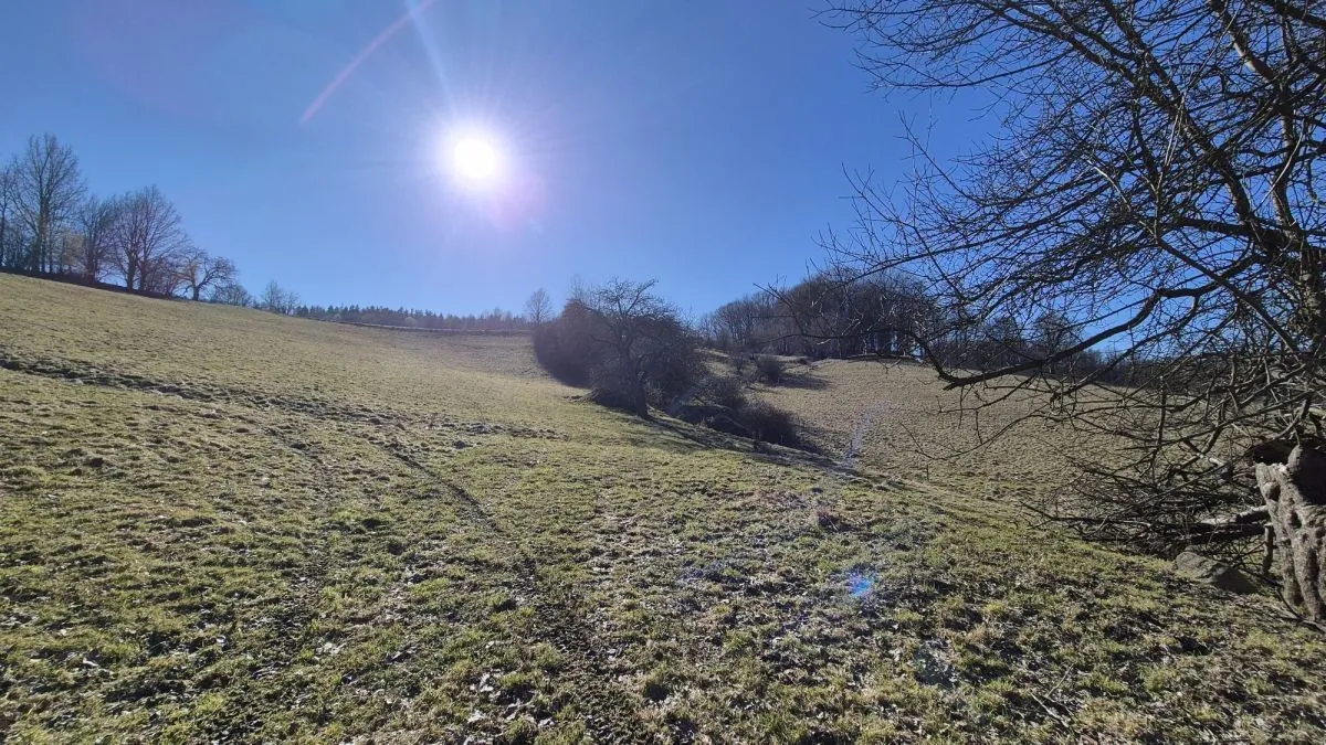 Czernica Czernica sprzedaż 17000m2 - 3
