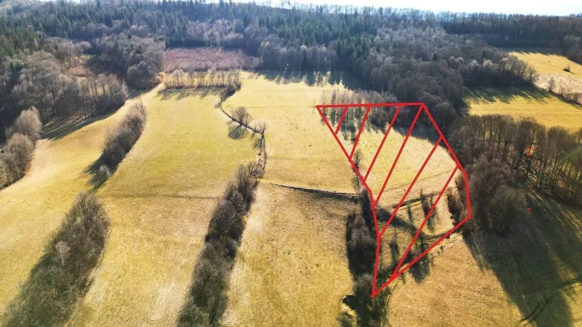 Czernica Czernica sprzedaż 17000m2 - 4