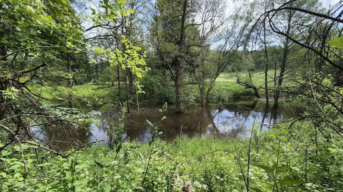 Łupki Teren o Bogatych Walorach Przyrodniczych sprzedaż 19800m2 - 4