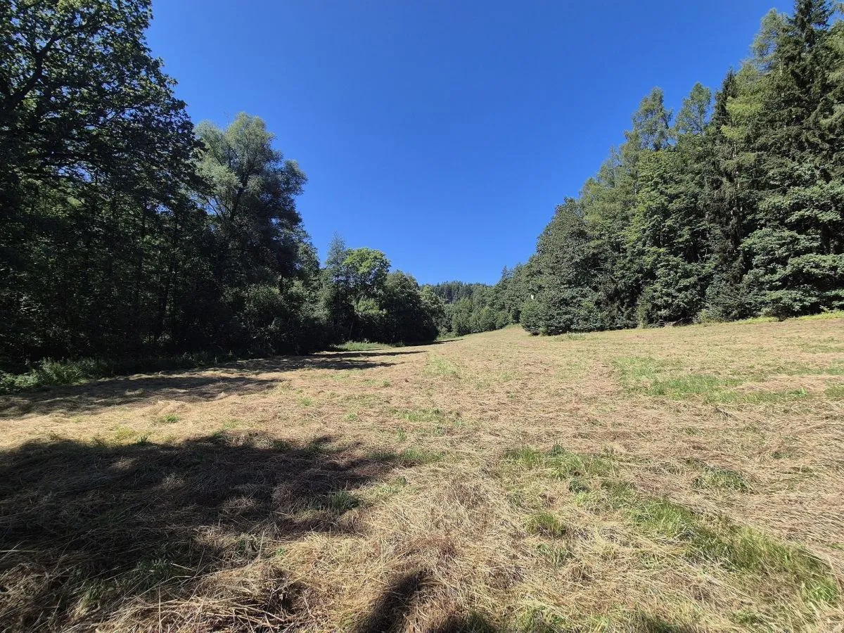 Łupki Teren o Bogatych Walorach Przyrodniczych sprzedaż 19800m2 - 5